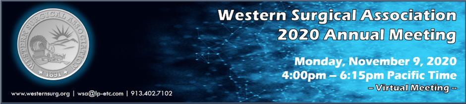 WSA 2020 Virtual Meeting Banner